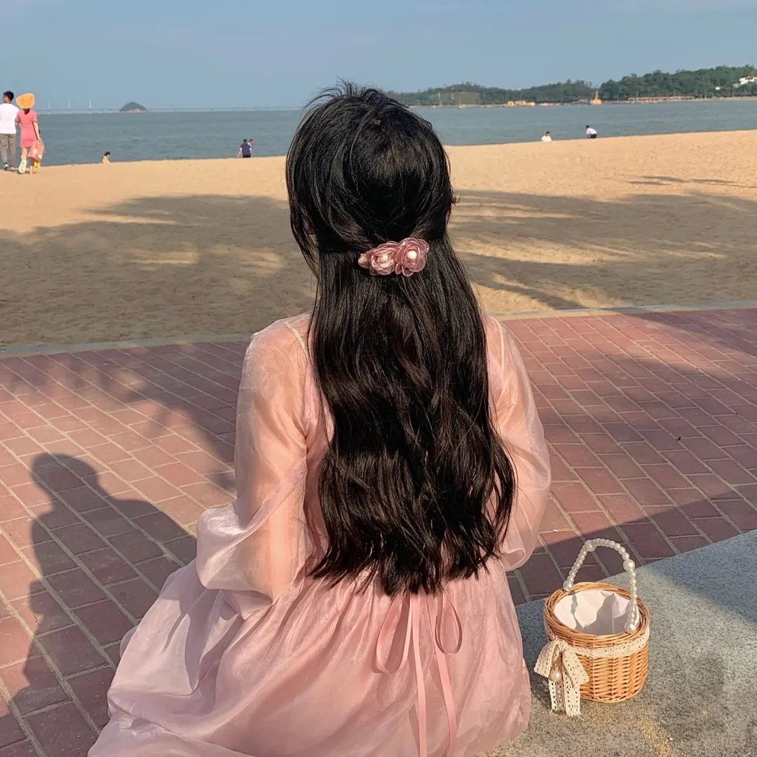 方案